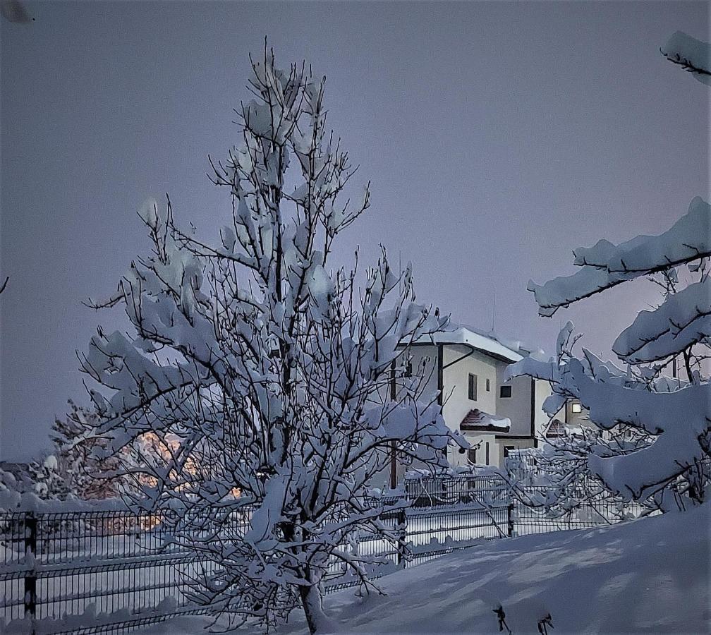 Pinerose Resort Bansko Extérieur photo