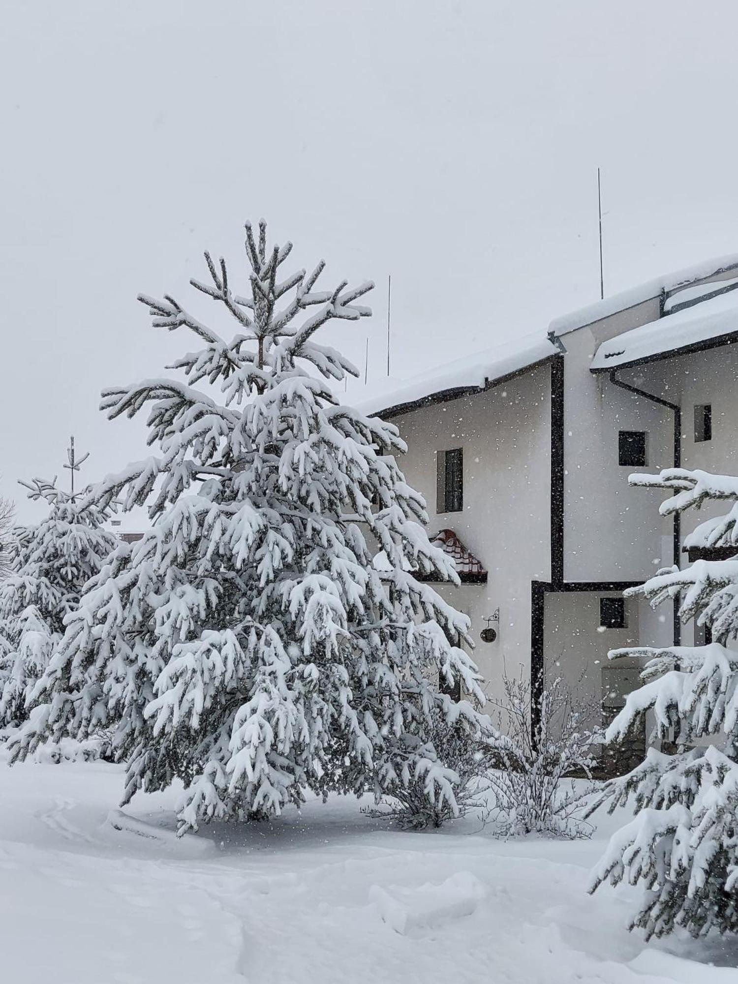 Pinerose Resort Bansko Extérieur photo